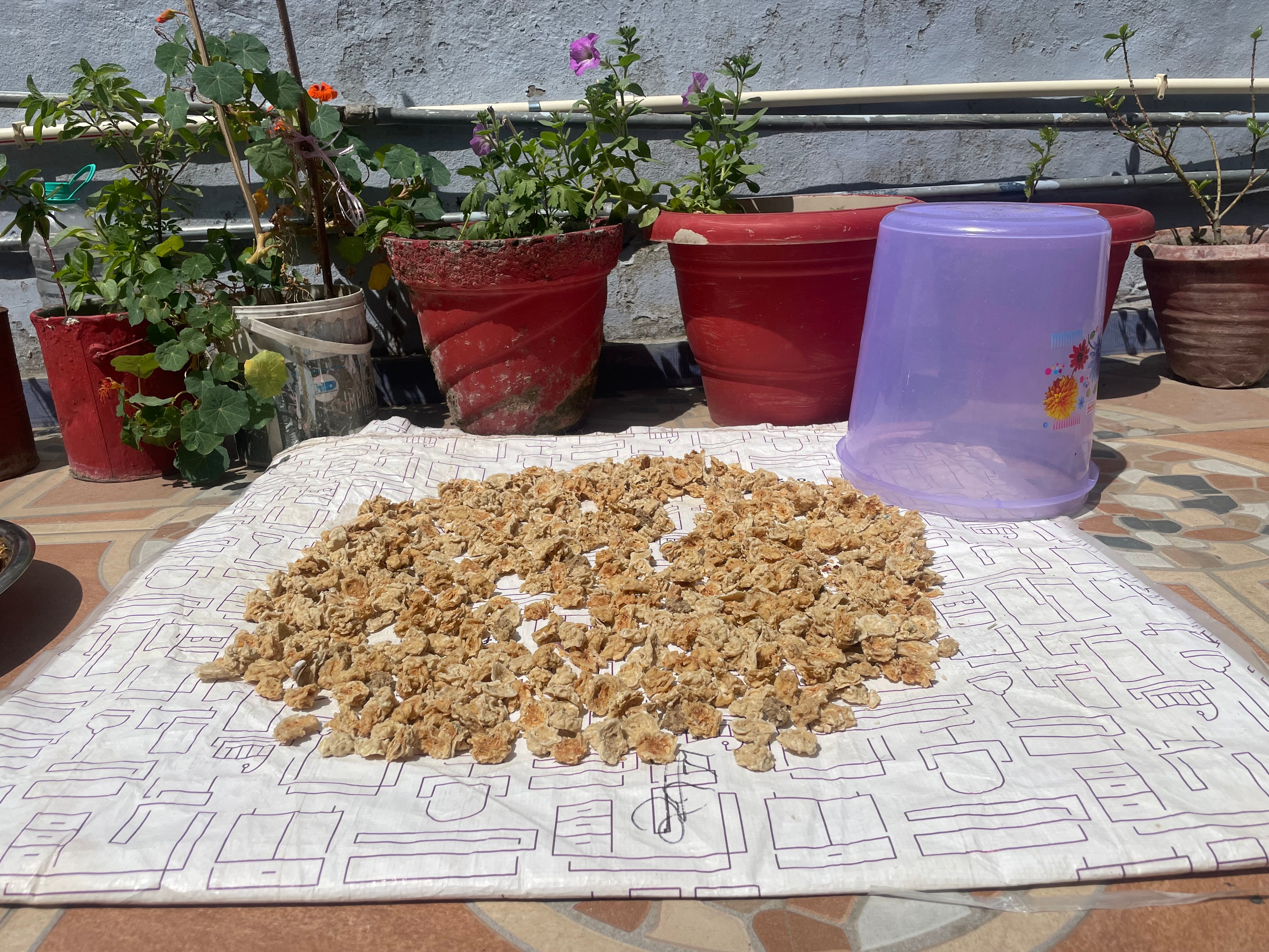 Pahadi Soya Chunks (250gm)